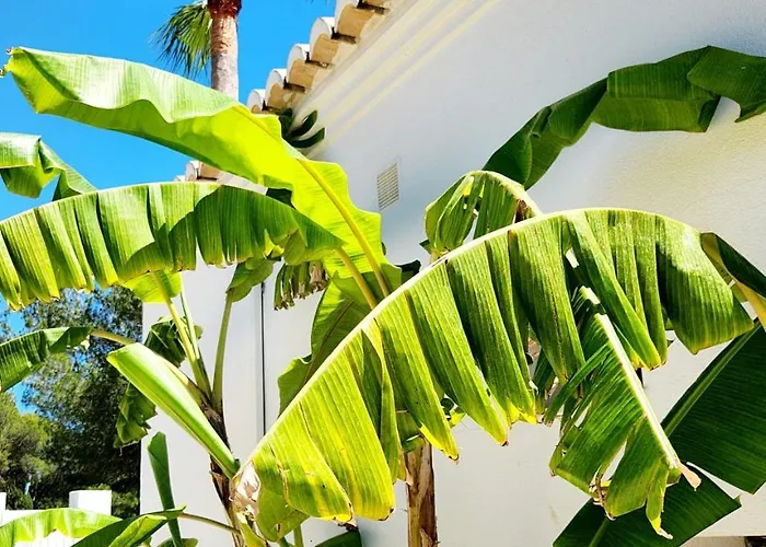 Вилла Casa Monzonea Хавеа